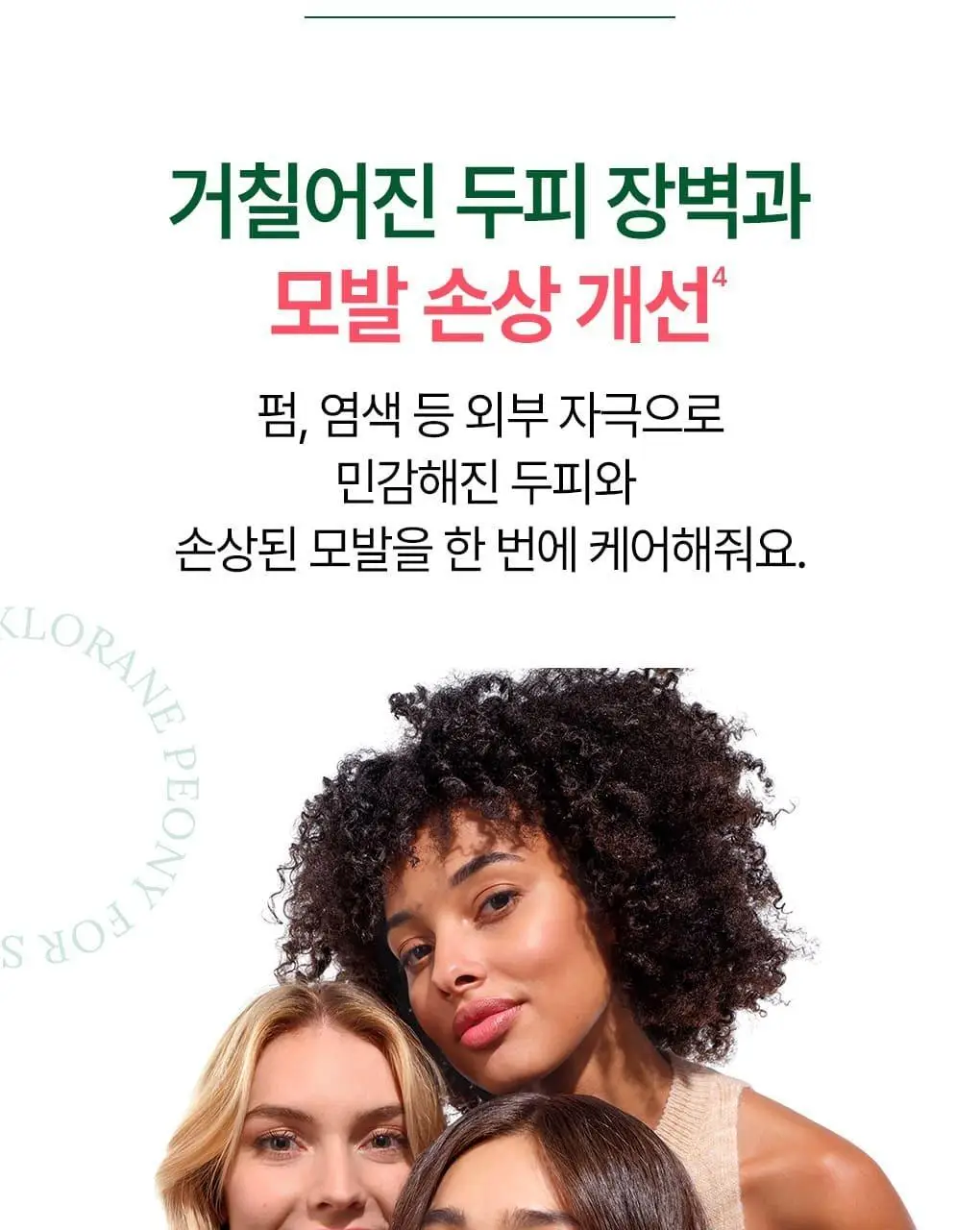 [민감두피 & 두피진정 트리트먼트] 클로란 피오니 두피팩 150ml 기획세트 / 단품 상세페이지 7